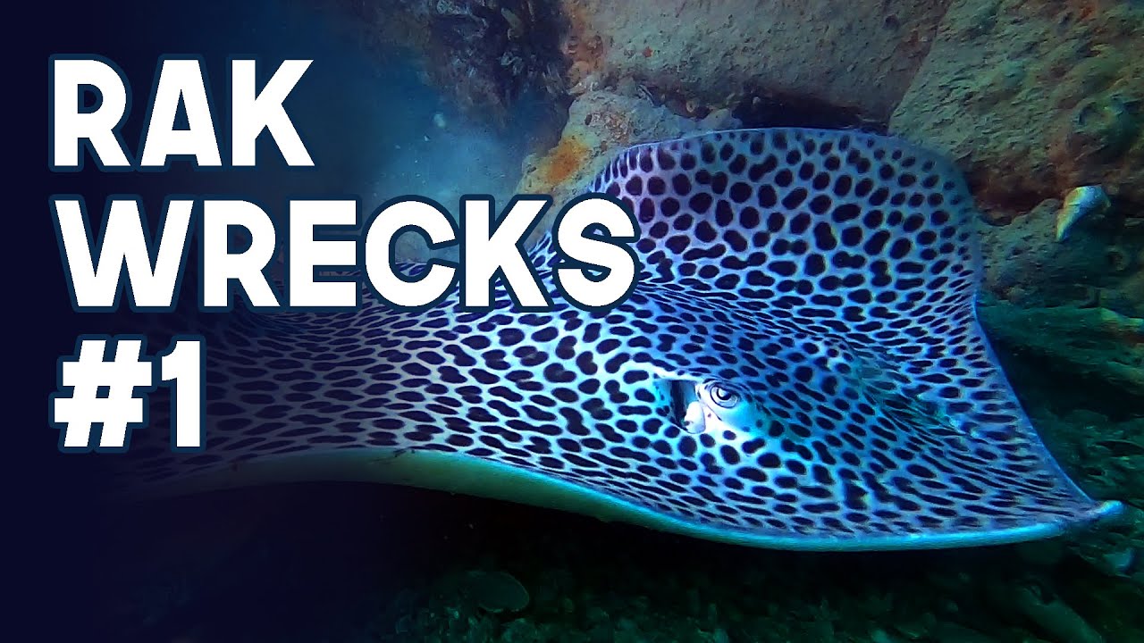 UAE Dive Sites | Ras Al Khaimah l Filipino Tug & Car Wreck