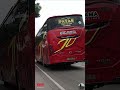 JALAN PANTURA JUWANA - REMBANG JAYA UTAMA merah PATAS EXECUTIVE CLASS Melintas Jam Pagi #bus #truck