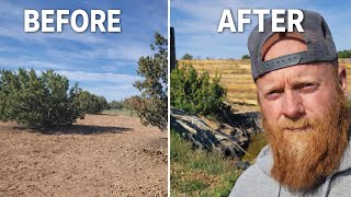 Six Years Ago This Was Raw Land