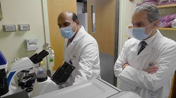 Total Pancreatectomy with Islet Autotransplantation (TPIAT)