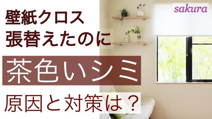 壁紙 クロス の汚れの落とし方 クロス洗浄方法 Youtube 壁紙 クロス の汚れの落とし方 クロス洗浄方法 Youtube