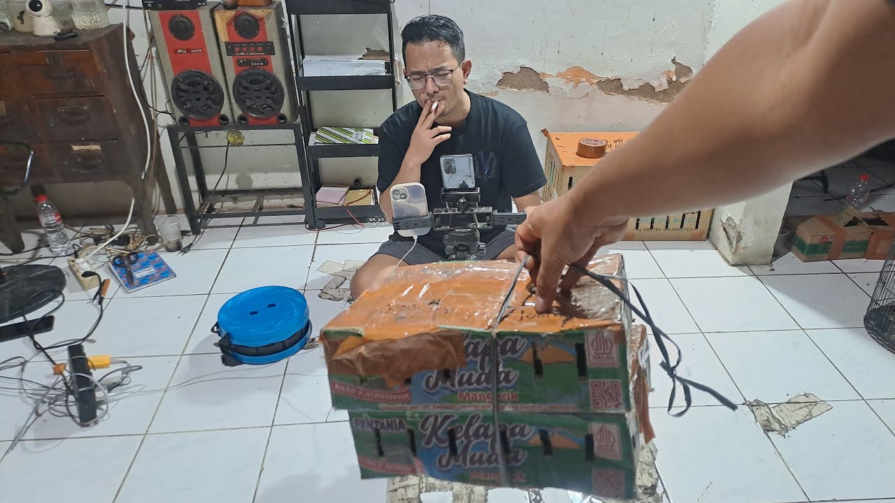 obral cepat siapa cepat dia dapat semua jenis burung