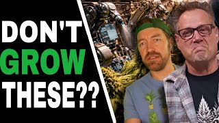 Before You Grow Autoflowers, Watch THIS