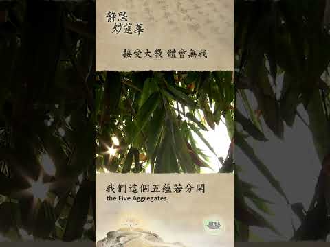🏯【靜思妙蓮華｜第116集：接受大教 體會無我】