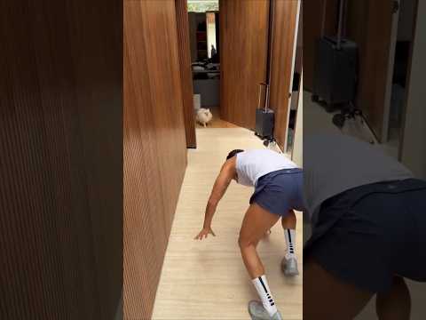 Tirullipa partiu pra cima do cachorro do Natanzinho Lima
