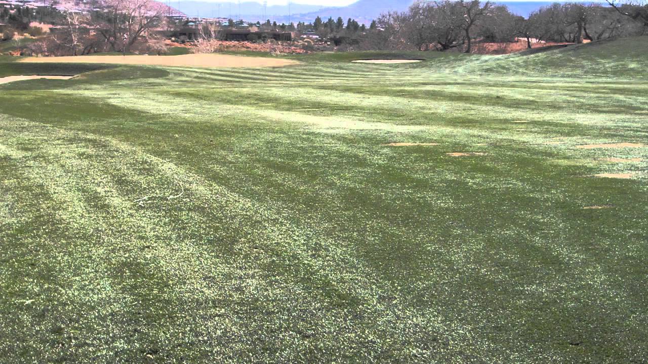 AgronoTec Seed Company Grass Seed YouTube