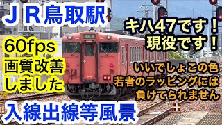 【撮り鉄の時間１４改（画質改善60fps）】ＪＲ鳥取駅での入線出線等風景　2021年6月5日撮影