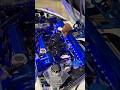 1 of 1 Custom Hyundai Veloster Turbo