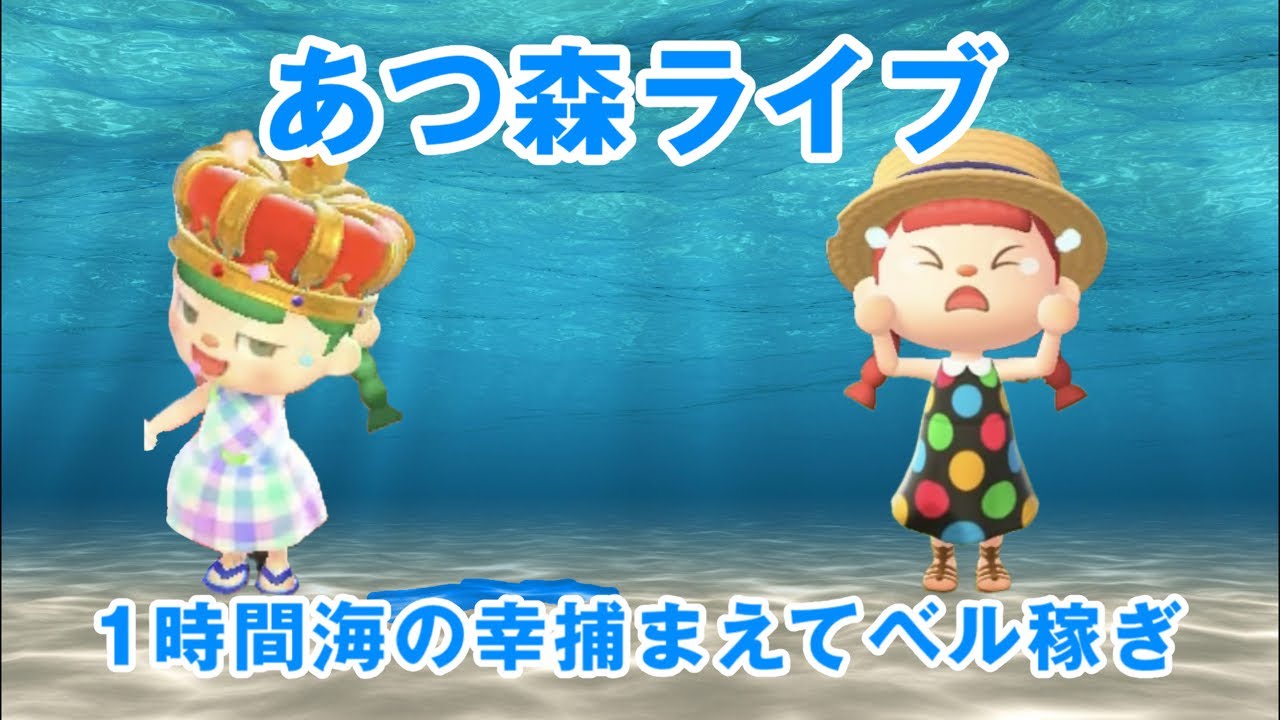 あつ森ライブ！1時間海の幸捕まえてベル稼ぎ#あつ森 #あつまれどうぶつの森