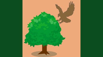 Glorious Moods for Amusing Days