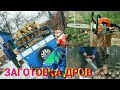 ЗАГОТОВКА ДРОВ НА ЗИМУ/Мотоблок Беларус МТЗ/STIHL MS180