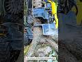 This Machine Harvests Trees in Seconds!