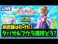 【ドラクエウォーク】タバサ&フウラのレベリングめんどくせええええええええ【雑談放送】
