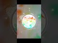 五等分の花嫁〖中野二乃〗