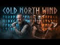 COLD NORTH WIND 🔥⚔️ | DRIFASKOG| EPIC VIKING ATMOSPHERIC DUO