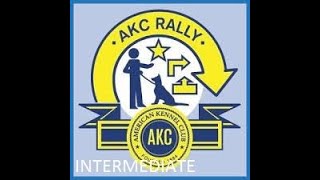 Indi AKC Virtual Rally Intermediate Course #2