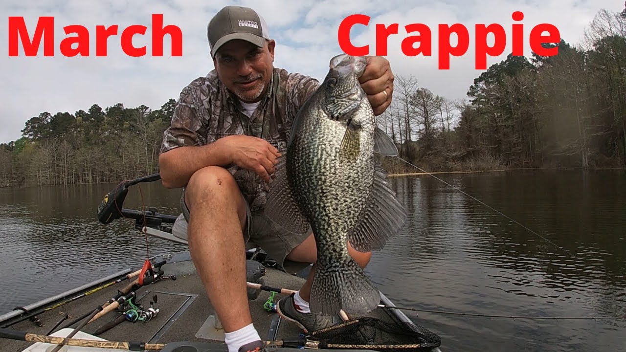 March Crappie Fishing in Louisiana's Toledo Bend Lake (Catching Big Spawning Crappie)