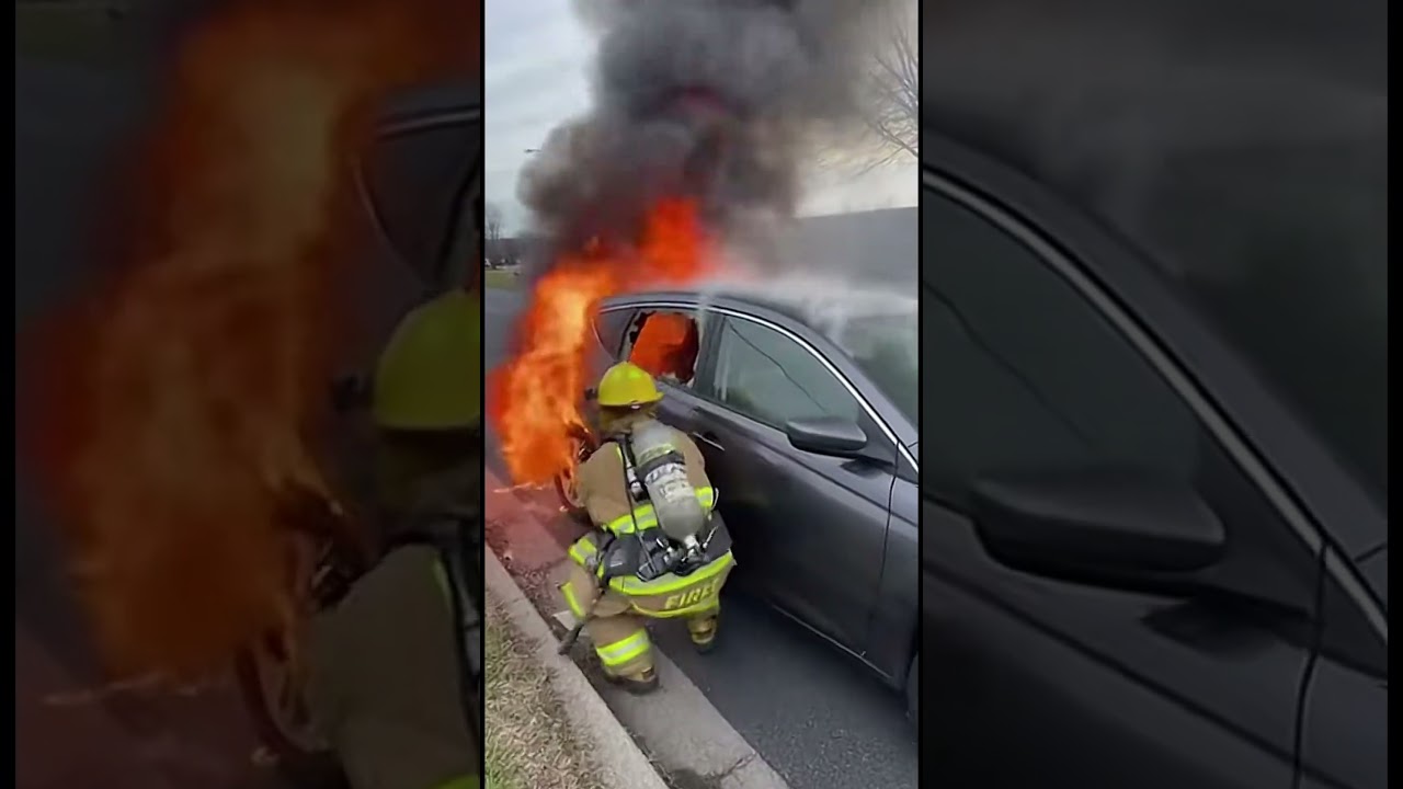 firefighter rescuing a trapped dog from a blazing car in a tense, single-shot moment.”