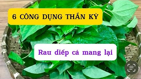 🔴🔴 6 CÔNG DỤNG TUYỆT VỜI TỪ RAU DIẾP CÁ #baithuocdangian #dexuatyoutube #tiktok #viralvideo