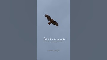 # ايات من القران#سورة الأنعام#القارئ طارق محمد