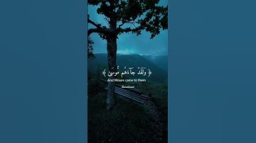 #سورة_العنكبوت #سعد_الغامدي