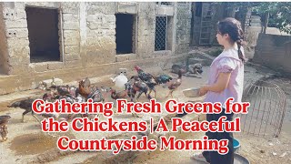 A Quiet Day in the Countryside | Feeding Chickens and Simple Chores