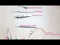 Ophthalmology instruments |Opthalmology instruments in hindi |Eye instruments With name and pictures