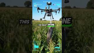 Smart Drone Catches Wild Boar Destroying Farmland