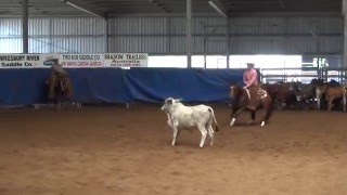 2016 DDCC Weekend Show 1 $15,000 Novice Hi Rainfall ridden by Grant Quigley