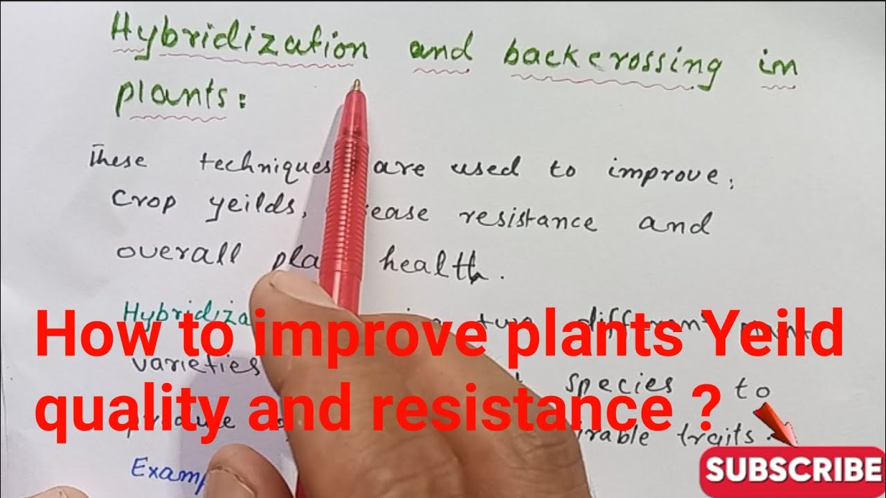 Genetic improvements in plants Yeild, resistance and Quality 