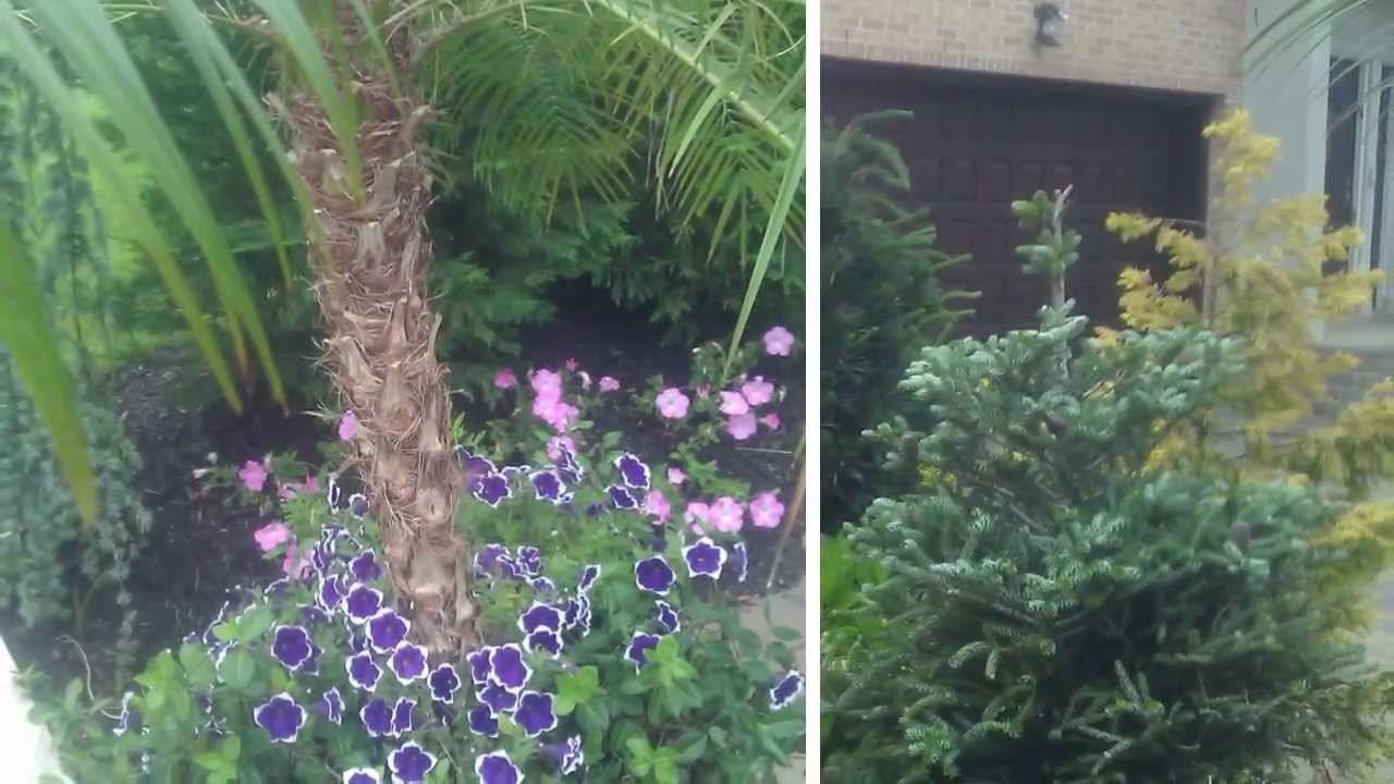 Bellmore Landscape Design NY, Design and Build Landscape YouTube