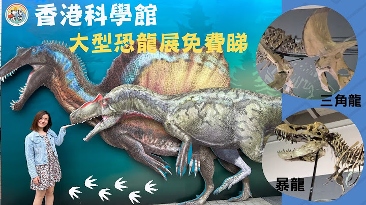 【🏃🏻‍♀️珊系咁行 #65 八大·尋龍記】科學館恐龍展🦕！帶你睇恐龍珍藏化石🗿＋1:1巨型模型🦖！超震撼🤩！｜The Big Eight – Dinosaur Revelation｜科學館🧪 - 天天要聞