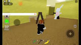 roblox live