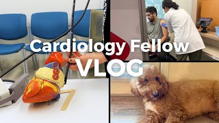 Transesophageal Echo, Flu Shot, and Paw Emergencies - A Day in the Life of a Cardiology Fellow