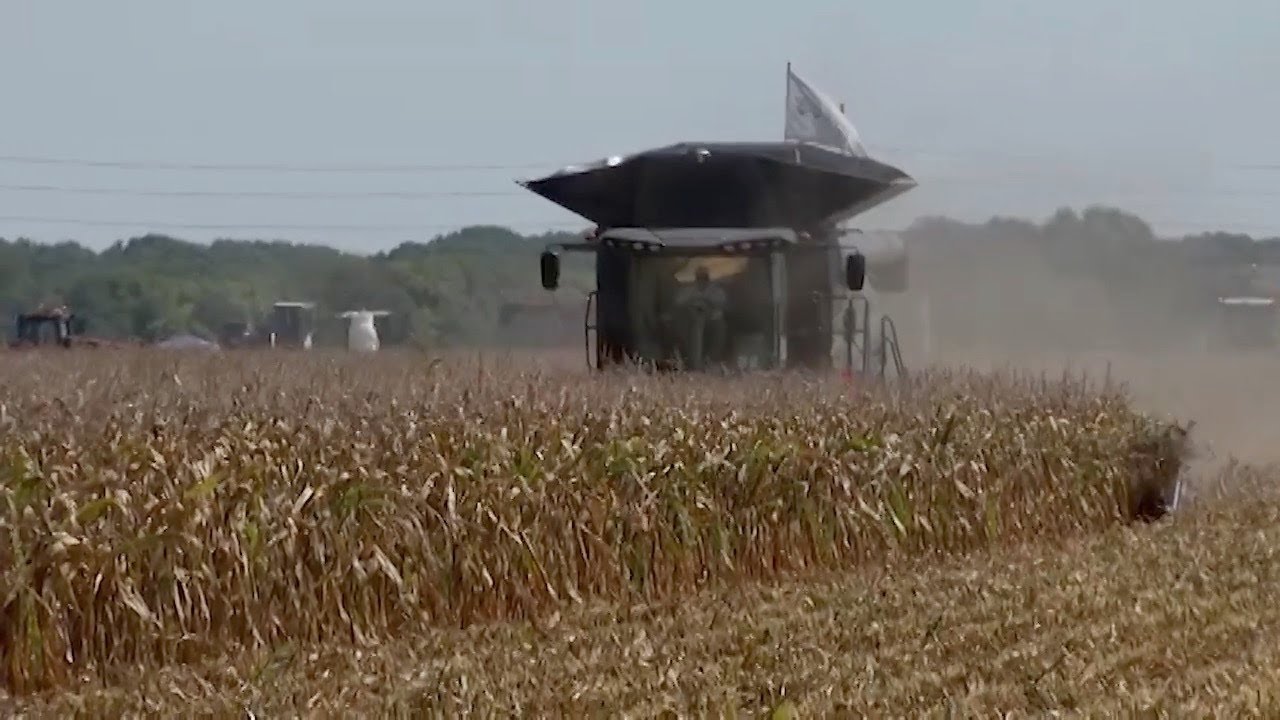 This Week In Agribusiness August 26 2023 YouTube This week in agribusiness august 26 2023 youtube