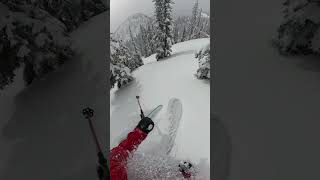 Classic spring powder day in the Kootenays #powderhighway #skiing #powder #backcountry #weather