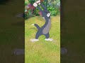 توم بدور حارس الحديقة 🥬 🍉 #توم_وجيري | شاهدوا المزيد على #كارتونيتو #tomandjerry #Cartoonito