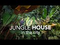 Inside a diy jungle garden  artfilled home  garden design tips ft journey through paradise