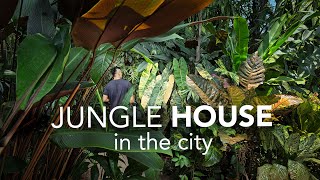Inside a DIY Jungle Garden &amp; Art-filled Home | Garden Design Tips ft Journey Through Paradise
