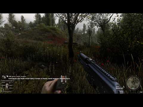 Just stalker gamma