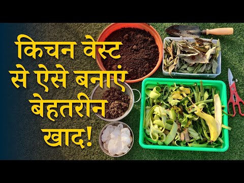 किचन वेस्ट से ऐसे बनाएं बेहतरीन खाद || How To Make Compost From Kitchen Waste In Hindi