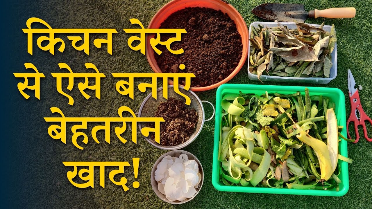 किचन वेस्ट से ऐसे बनाएं बेहतरीन खाद How To Make Compost From Kitchen Waste In Hindi YouTube