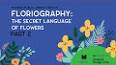 The Secret Language of Flowers ile ilgili video