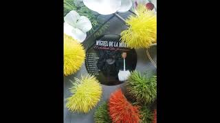 Miguel Delamora - Pastor Modelo