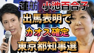 【東京都知事選】もはやカオス状態！蓮舫・小池百合子出馬意向！都民の冷静な判断を願いたい！【欲張めろんの世界のC級ニュース】