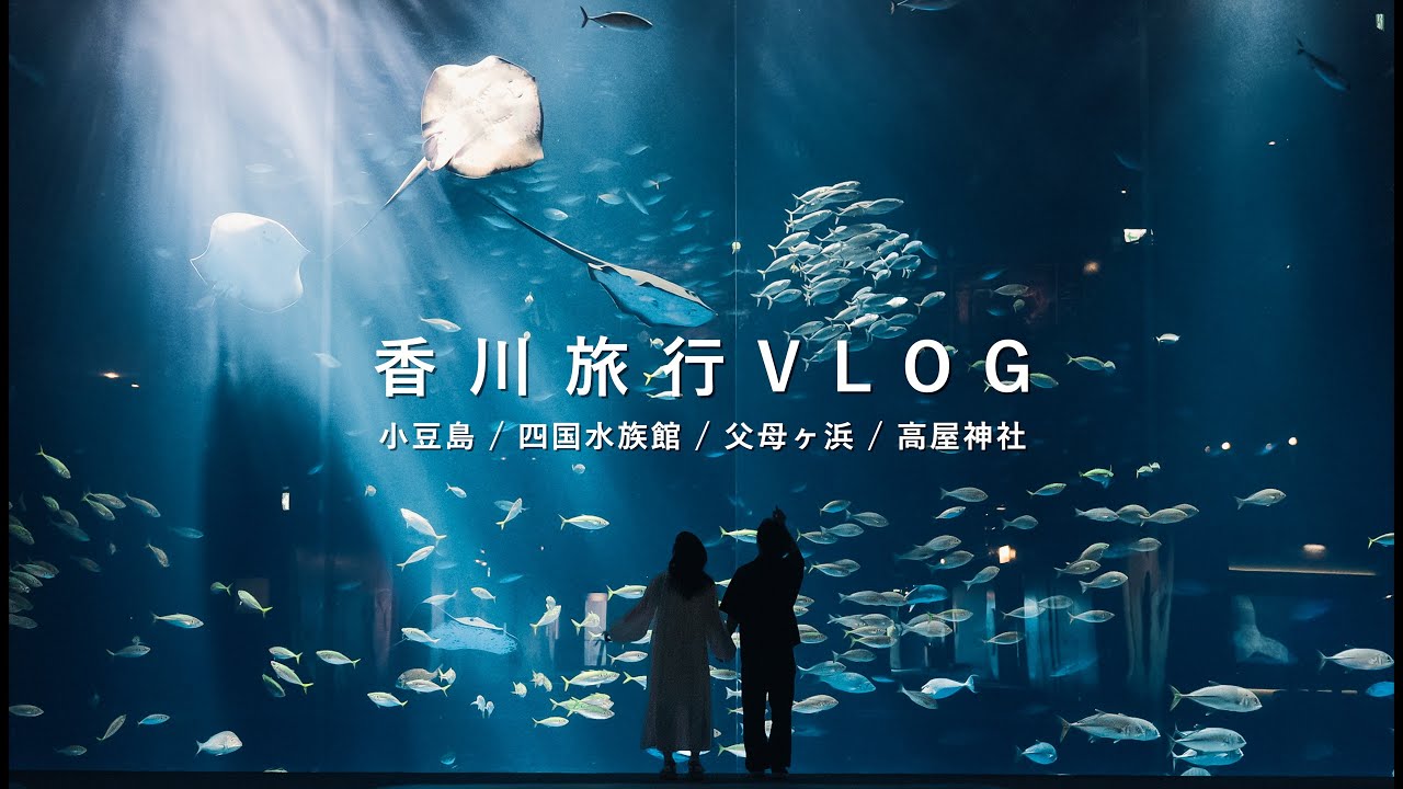 【香川旅行】雨でも楽しみまくる香川の絶景巡り旅🚗【小豆島/四国水族館/父母ヶ浜/高屋神社】