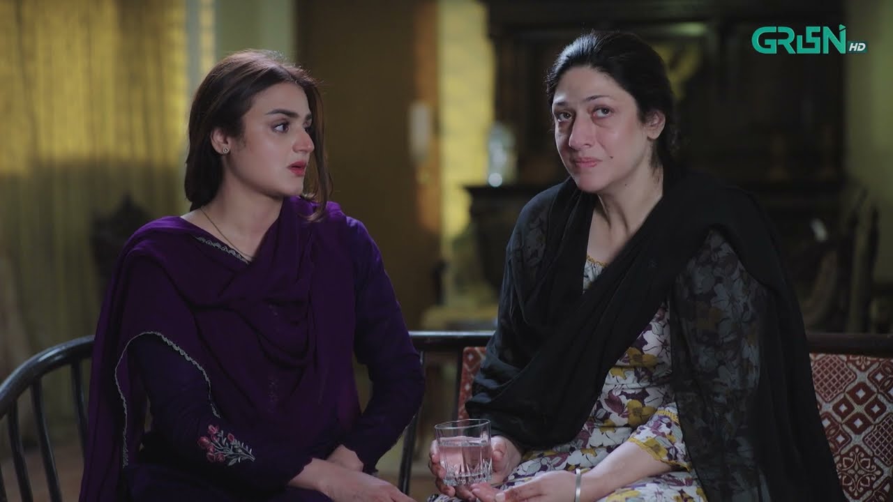 Rahguzar Episode 04 [ Best Moment 01 ]  Hira Mani - Mohib Mirza | Green TV Entertainment