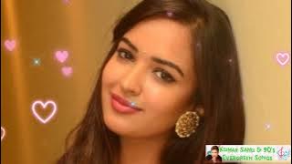 💞 Main Bhi Chup Hoon 💞 Kumar Sanu and Sadhana Sargam 💞 Udhaar Ki Zindagi (1994)