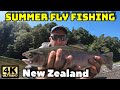 Summer Fly Fishing - New Zealand