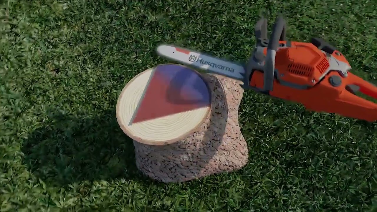 6- Technique arbre fortement penché coupe en V (diamètre inf à 25cm)